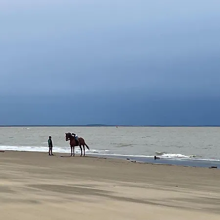 Pleasant Mobile Ba690 - 2 Bedrooms Siblu Bonne Anse * La Palmyre